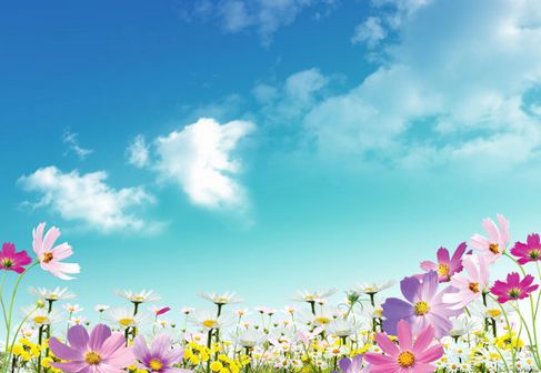 Beautiful flowers material HD Photo 02.jpg