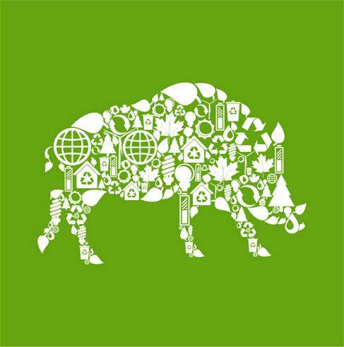 Environmental elements of the image vector collage of animal material wild boars.jpg