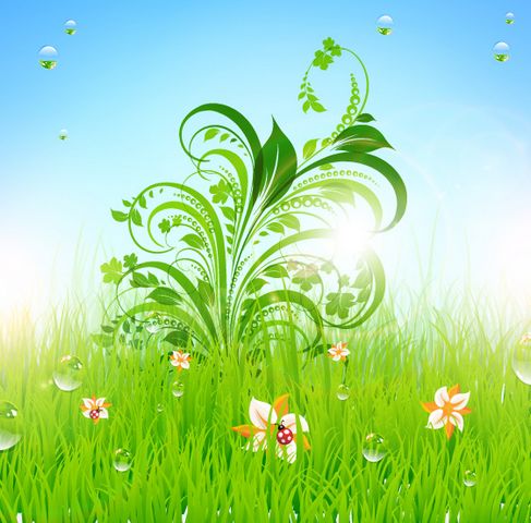 Patterns of green grass Vector 01.jpg