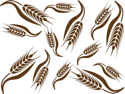 Wheat Pattern Vector 02.jpg