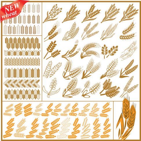 Wheat Pattern Vector 04.jpg