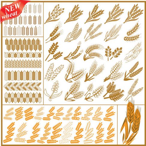 Wheat Pattern Vector 04.jpg