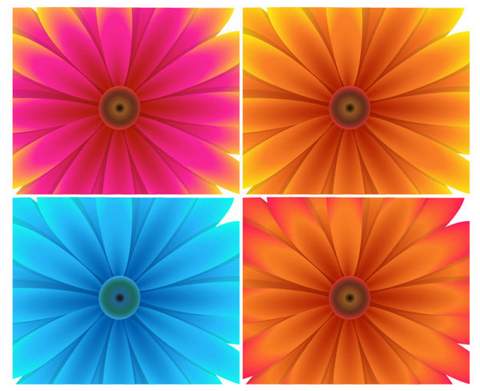 Four exquisite flowers background Vector