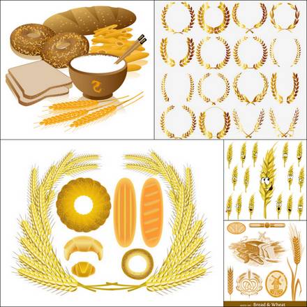 Five wheat vector images